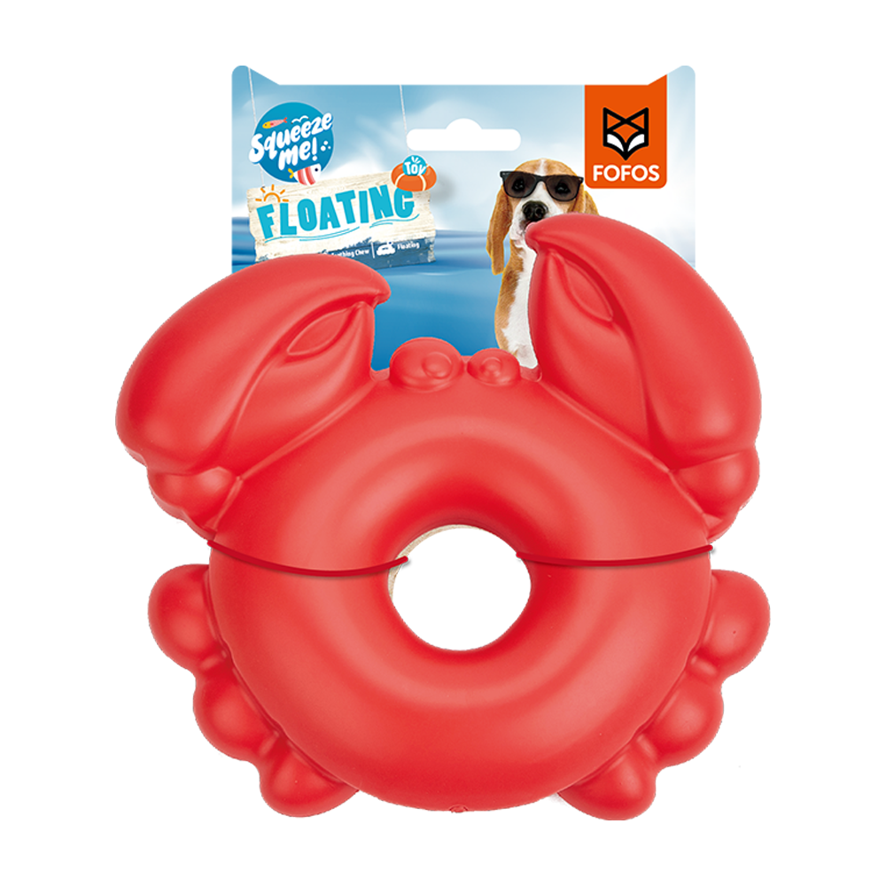 Dental Care Services